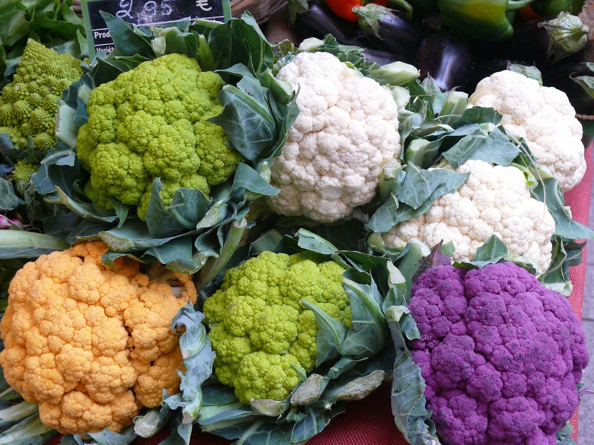 fall vegetable garden