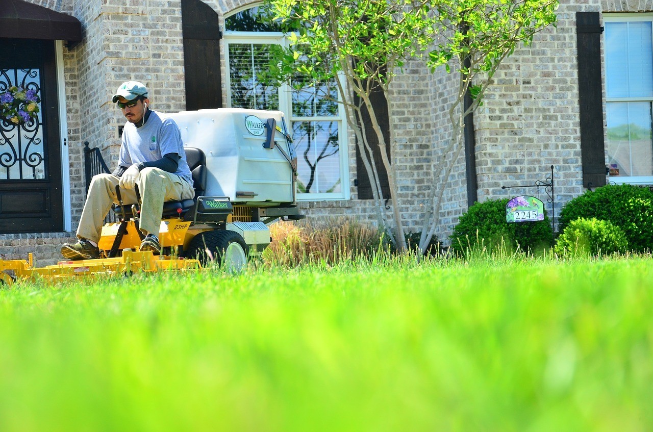 fall lawn care, fertilize