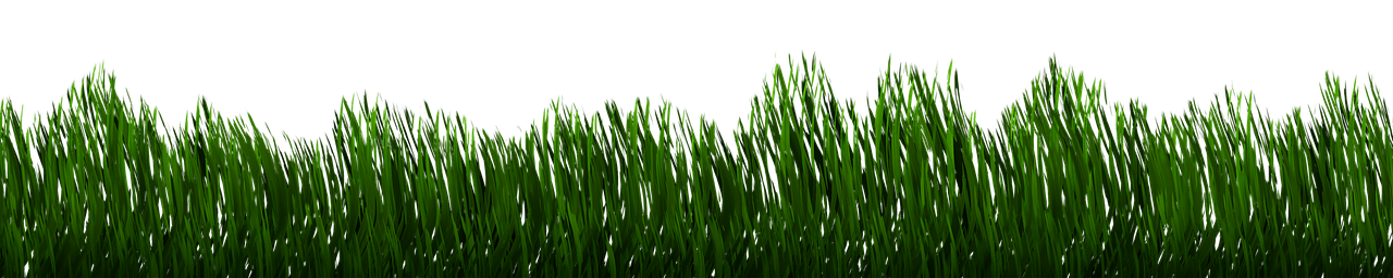 Section of grass