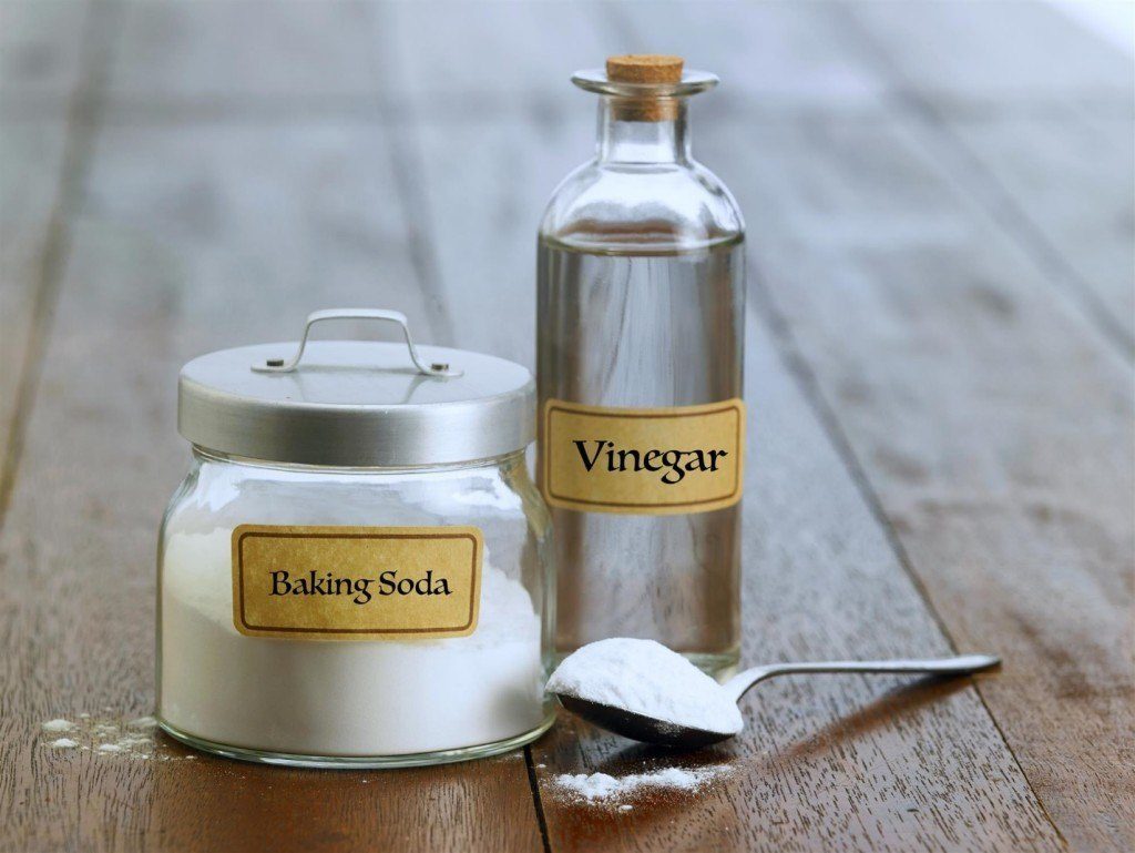 Containers of baking soda and vinegar