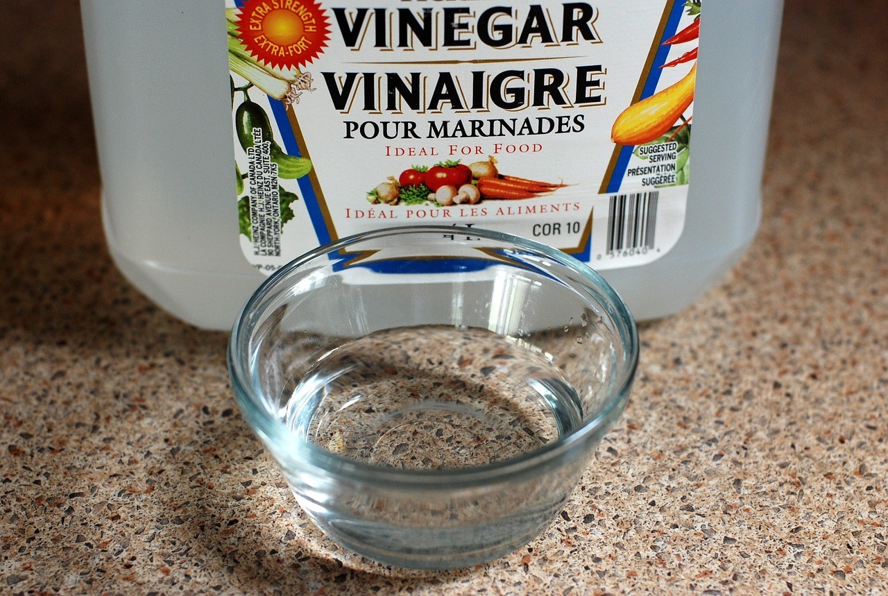Vinegar can be an effective natural pesticide