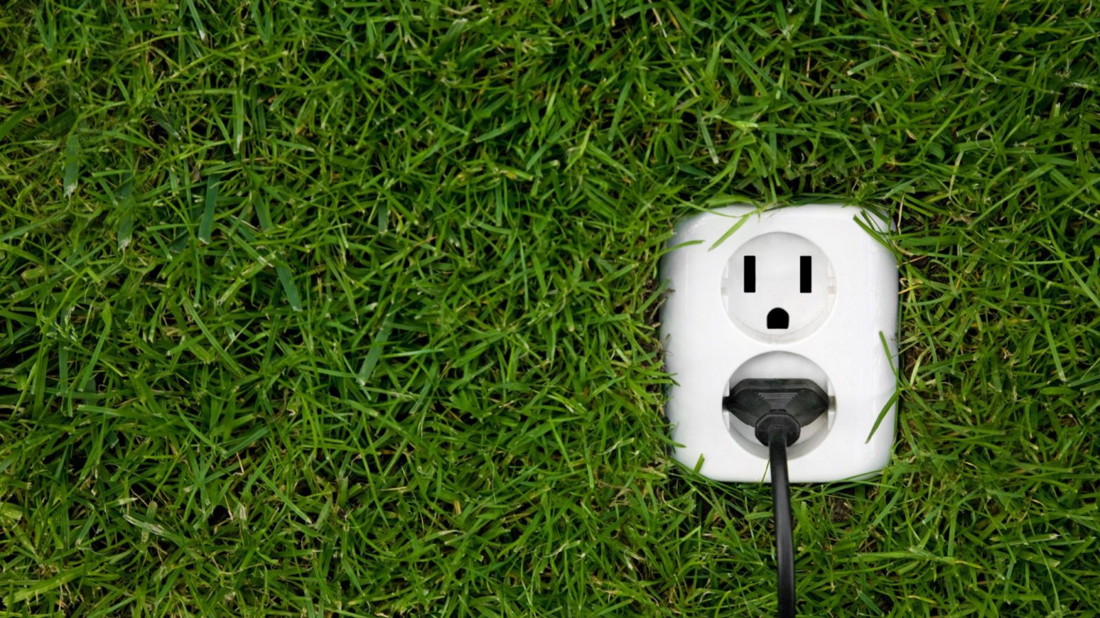 Electric outlet surrounded by green grass