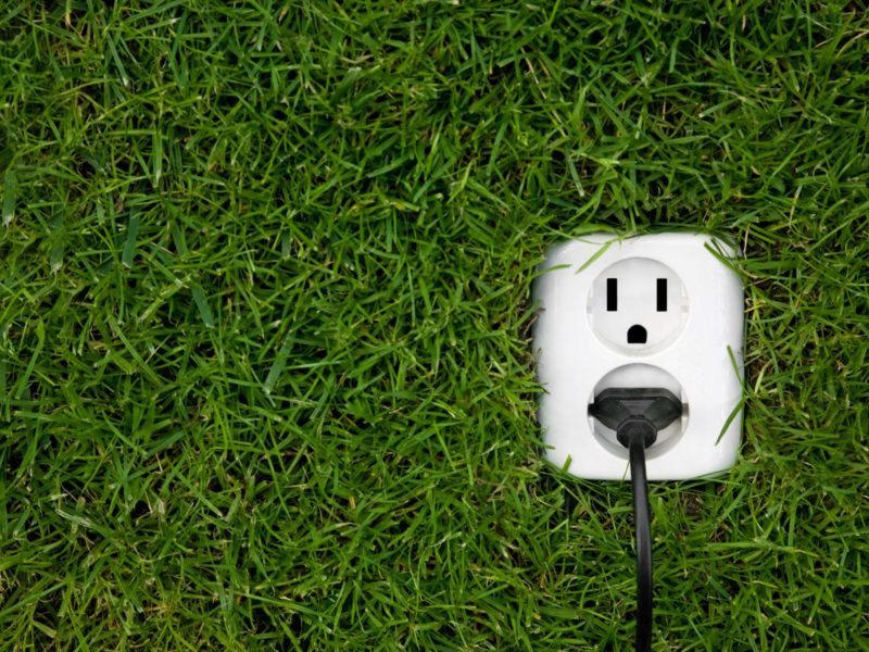Electric outlet surrounded by green grass