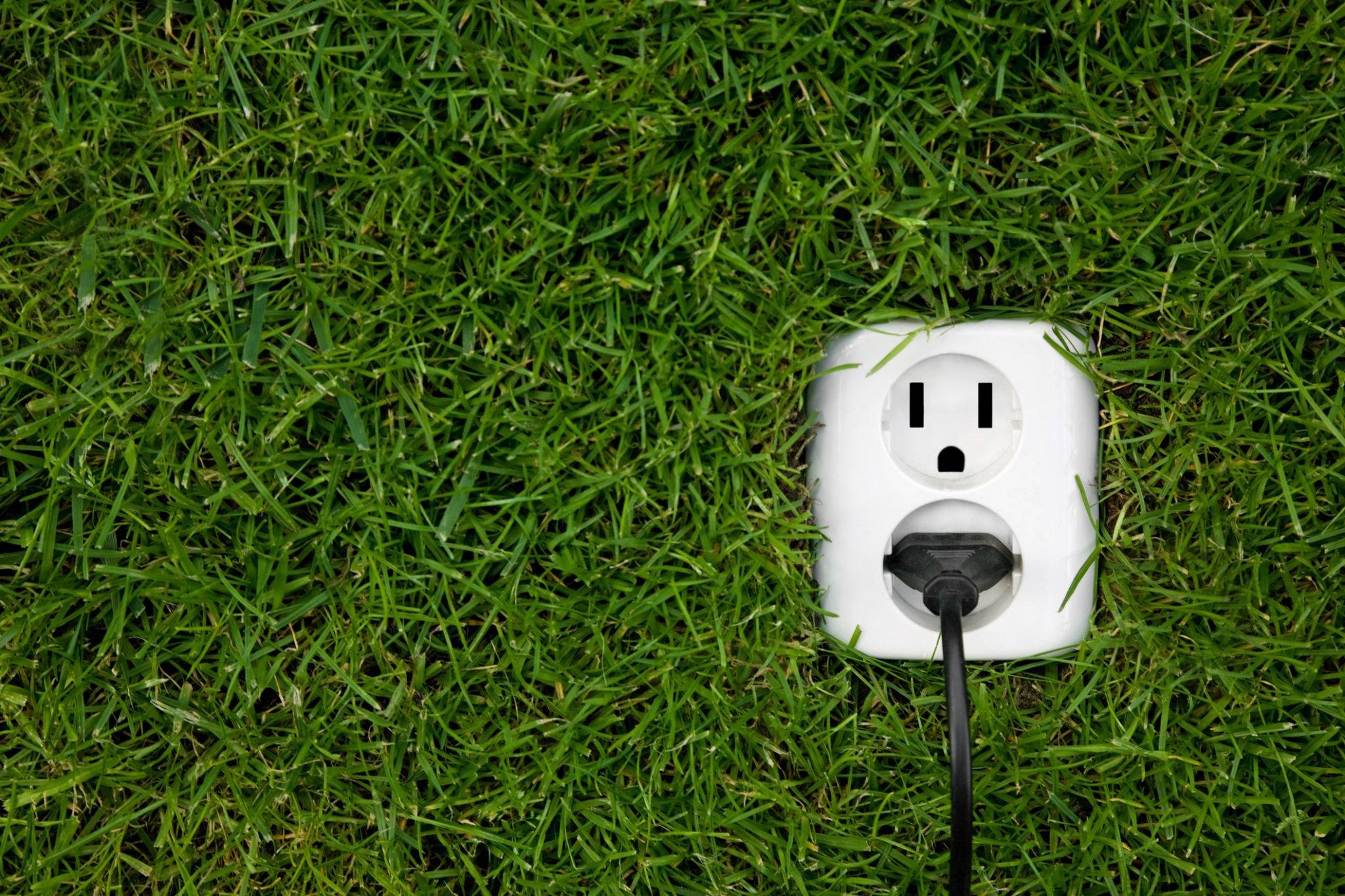 Electric outlet surrounded by green grass