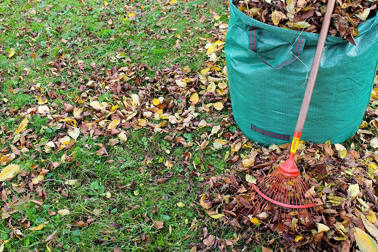 Compost Leaves