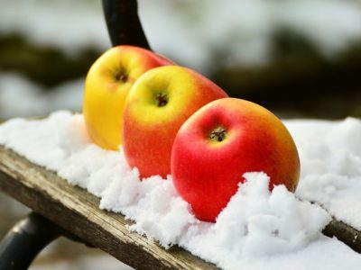 winterize garden, prepare your garden for winter