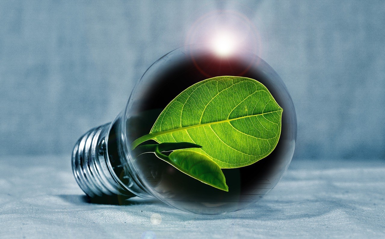 Green leaf inside a light bulb