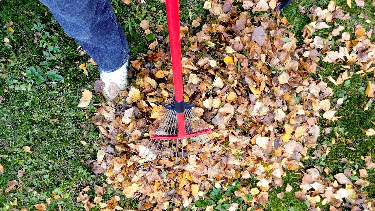 Compost Leaves