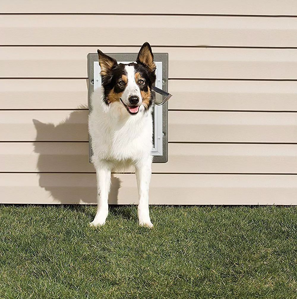 are dog doors safe for your pet