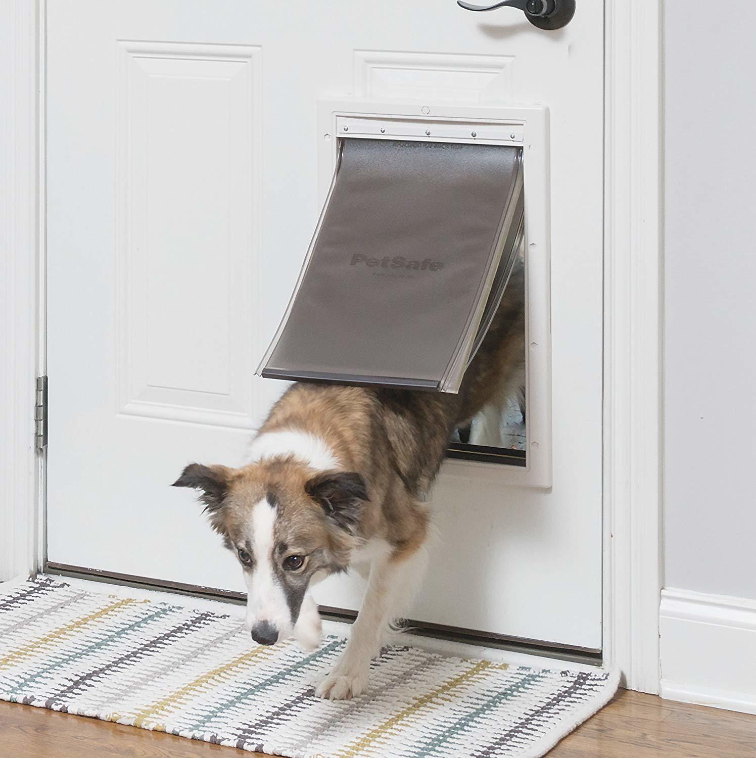 doggy door