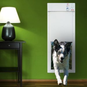 doggy door