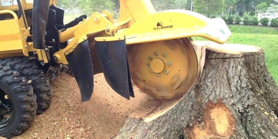 stump removal