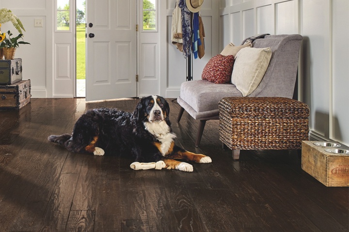 Pet-Friendly Vinyl Floors