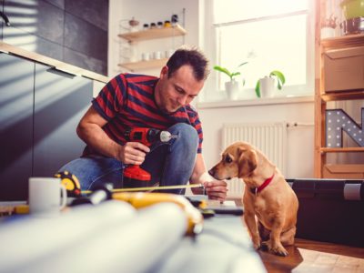 Man with small yellow dog working on a new kitchen