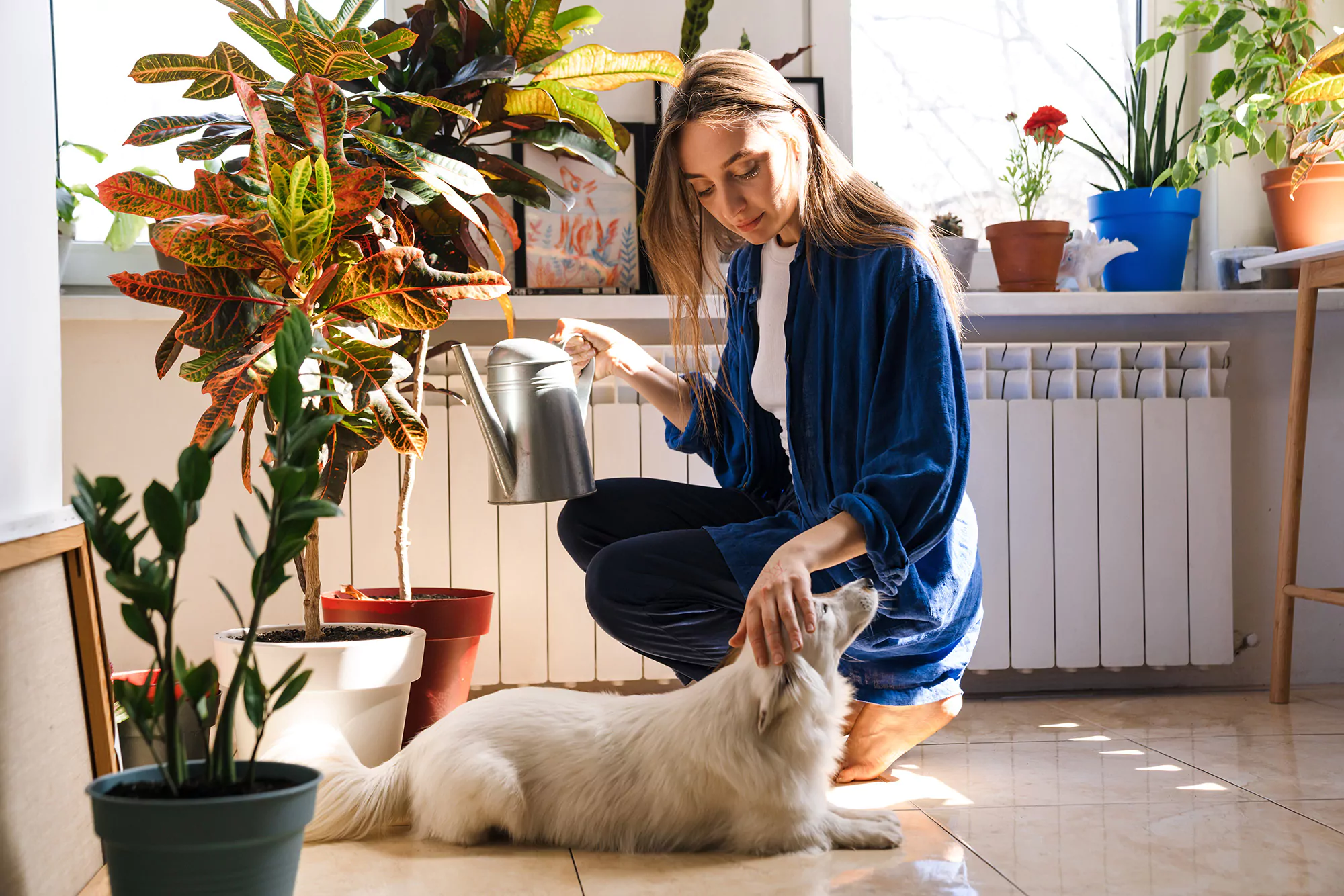 Young woman waters houseplants next to her dog