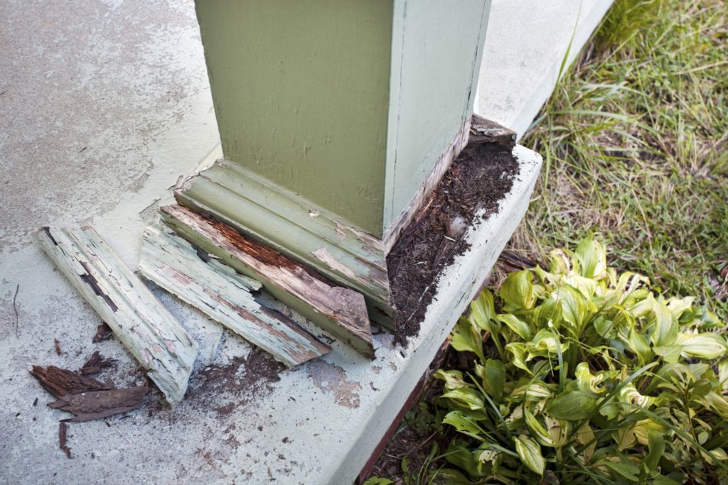 Wood post damaged by termites