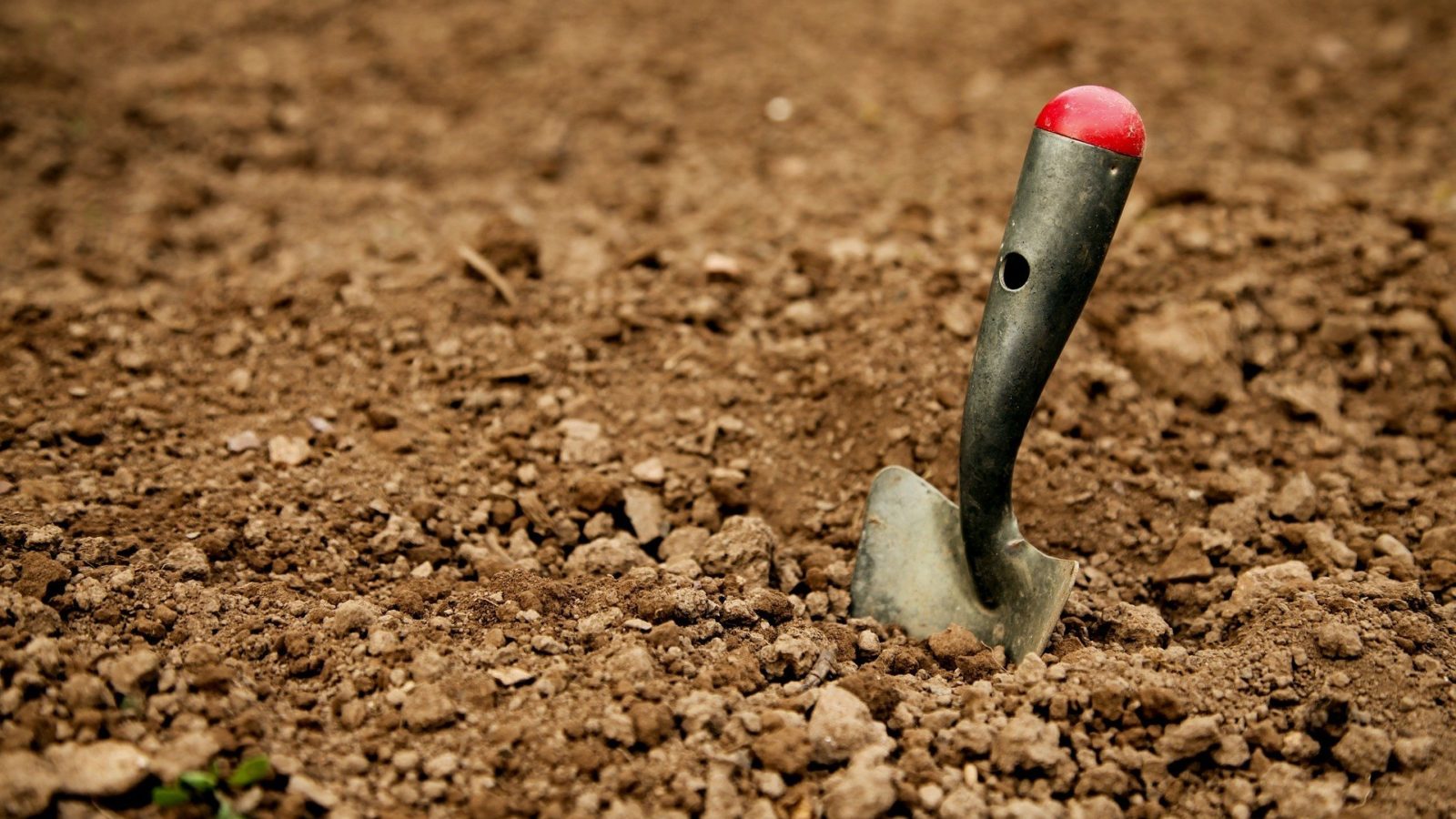 Gardening spade in dirt