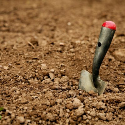 Gardening spade in dirt