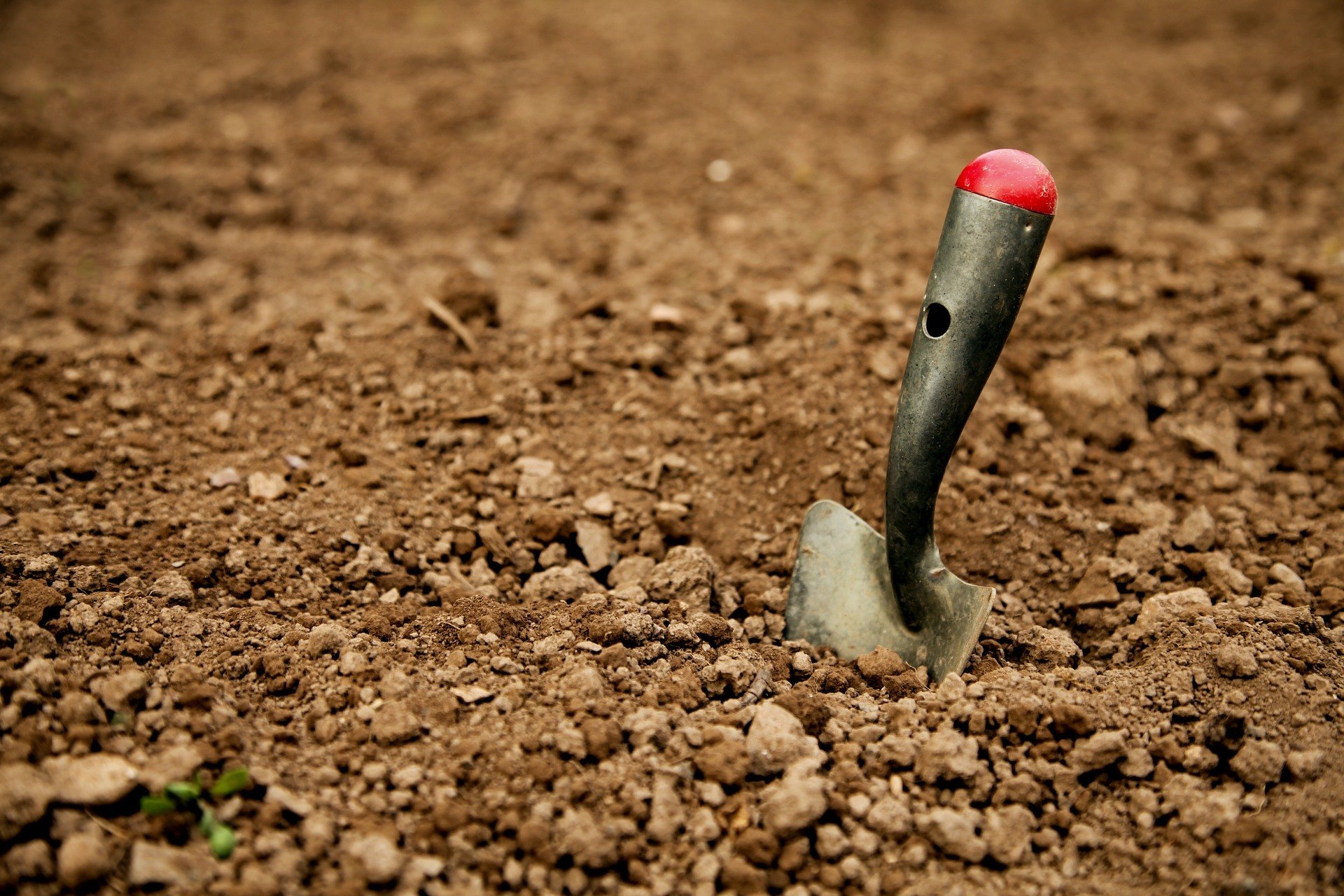 Gardening spade in dirt