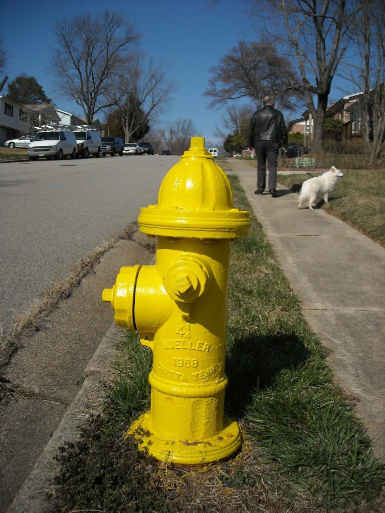 Fire hydrant in front of houses