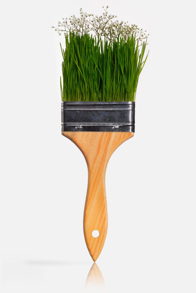 Paint brush with grass as the bristles