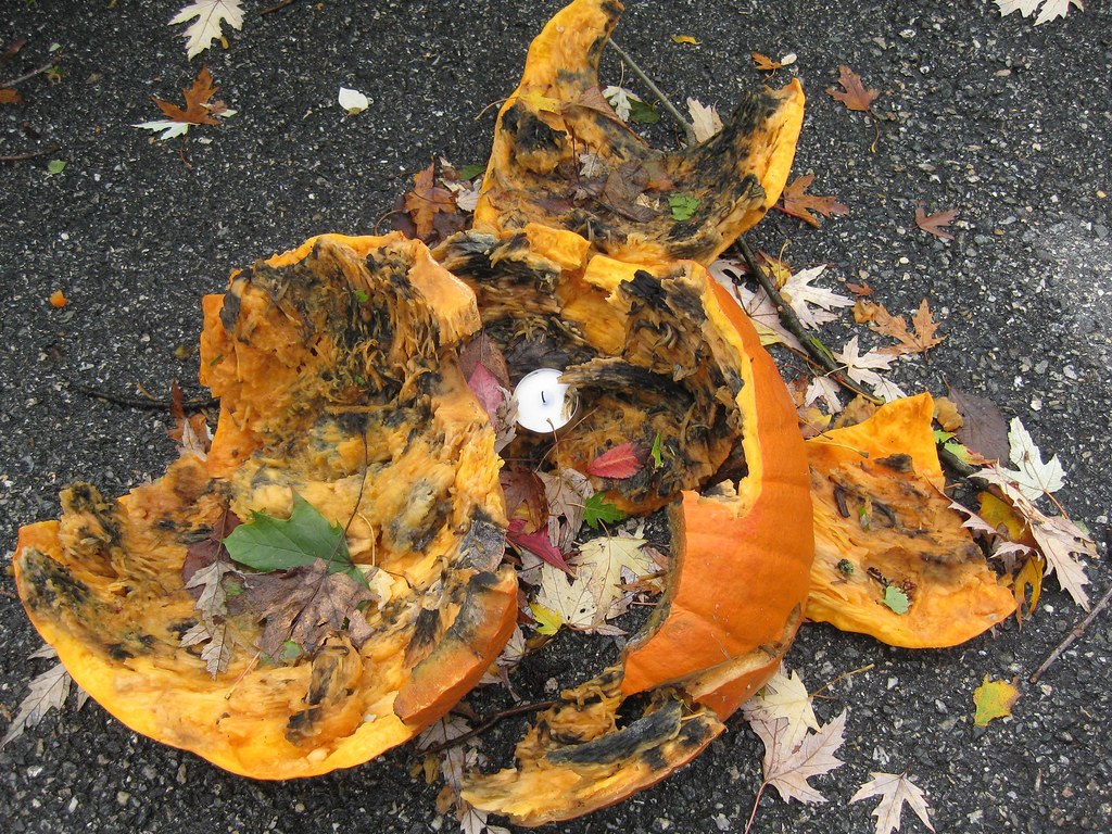 Smashed pumpkin after Halloween
