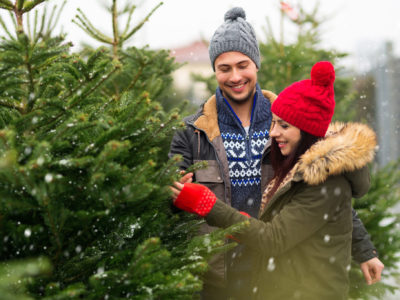 Couple buying a christmas tree