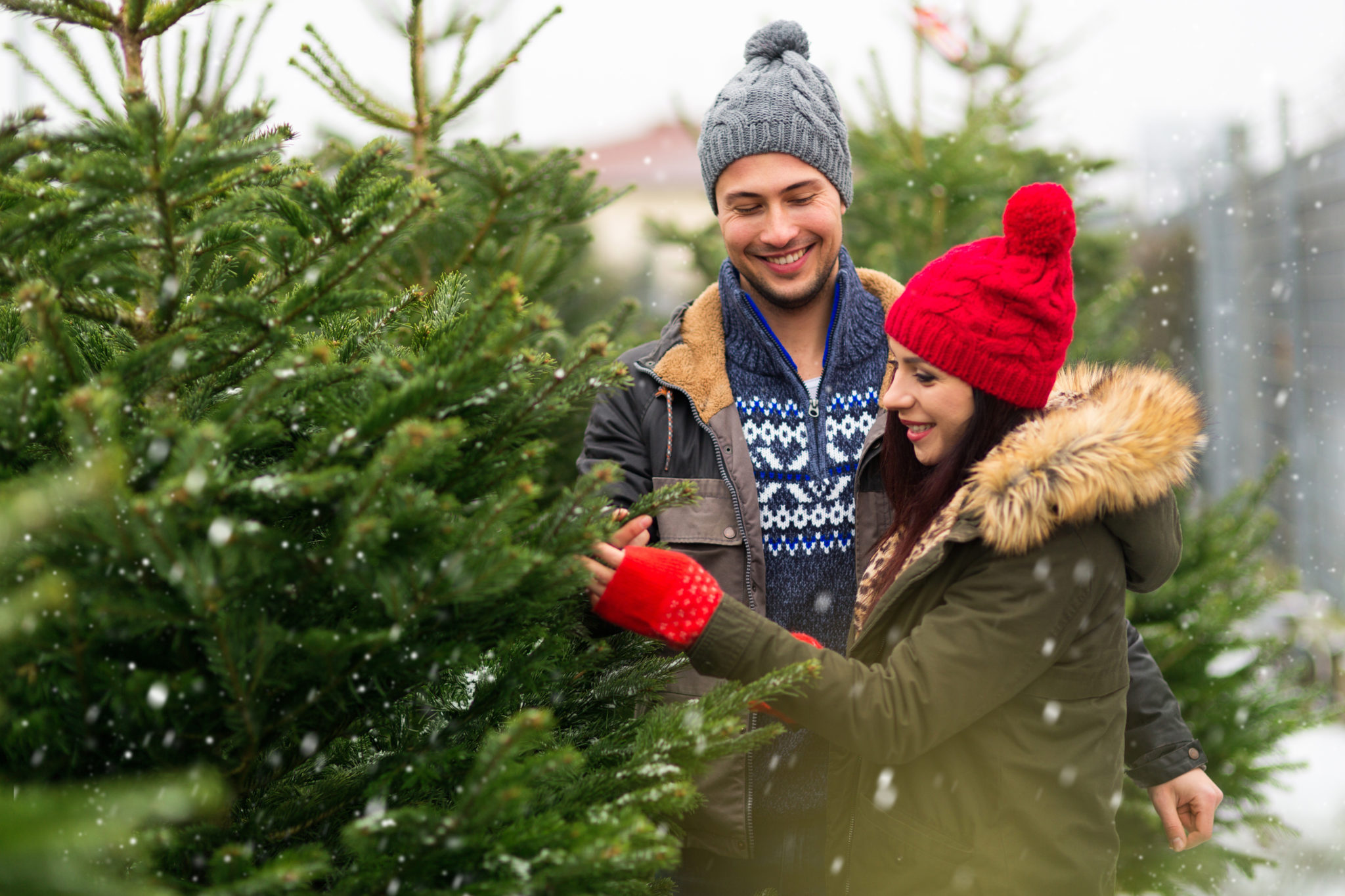 Couple buying a christmas tree