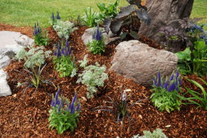 garden bed with rocks and mulch