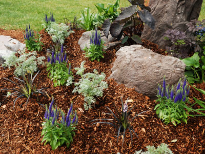 garden bed with rocks and mulch