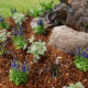 garden bed with rocks and mulch