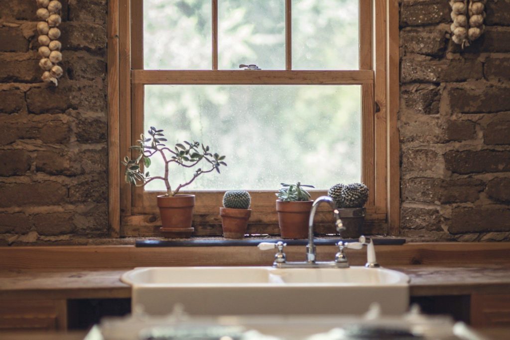 Farmhouse window with plants on sill