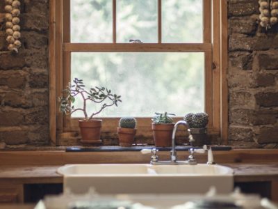 Farmhouse replacement window with plants on sill