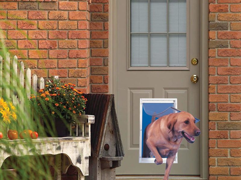Dog going outside through a pet door