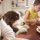 Dog at kitchen table with family