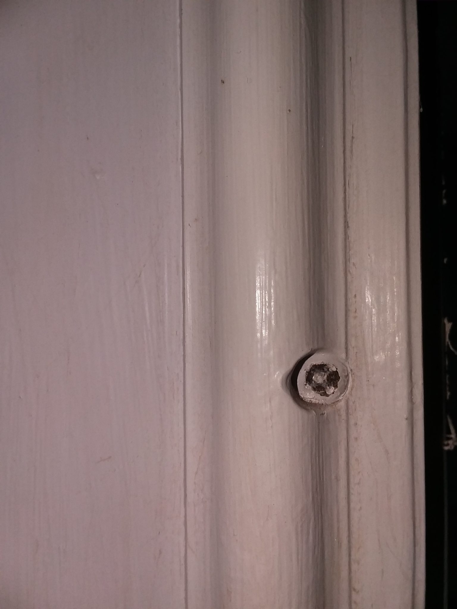 Steel door with plastic grille