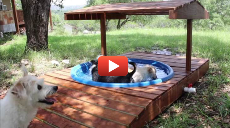 DIY Dog Wading Pool