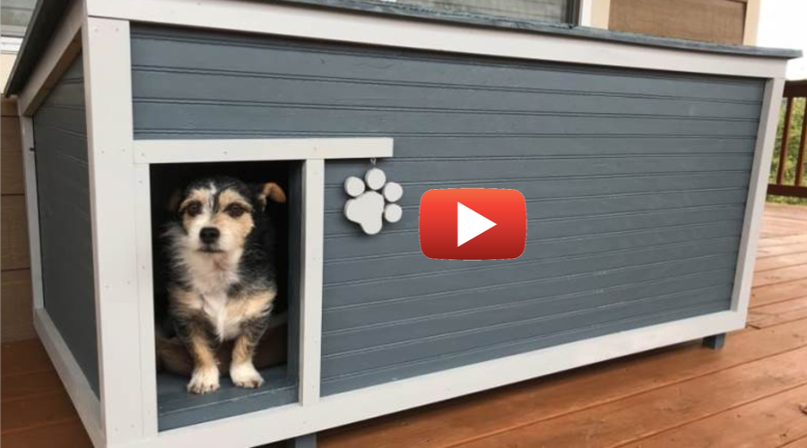 DIY Insulated Dog House