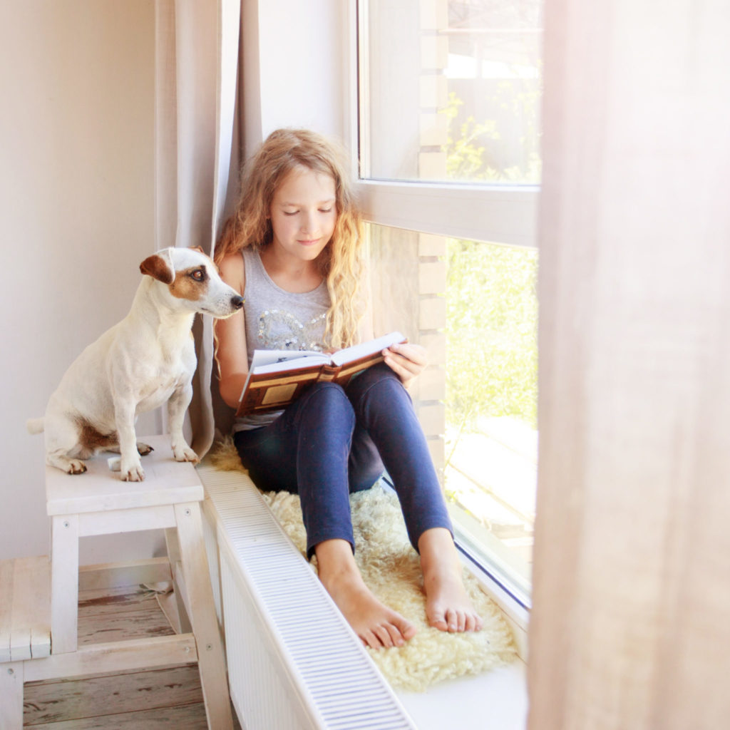 Dog window bench