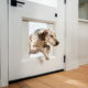 Dog jumping through the MyQ Pet Portal pet door.