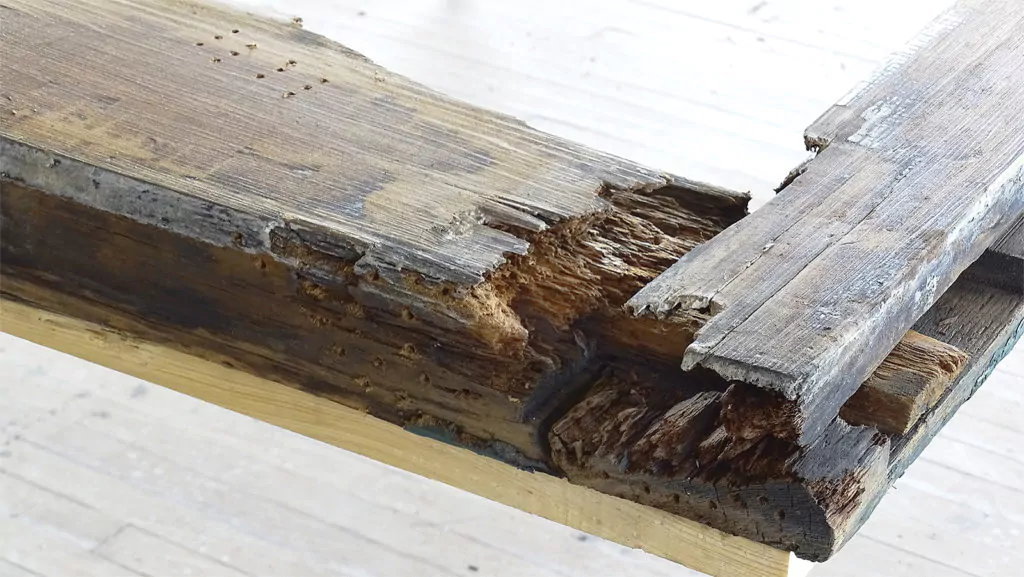 Repairing Rotten Logs - Epoxy is NOT the Answer