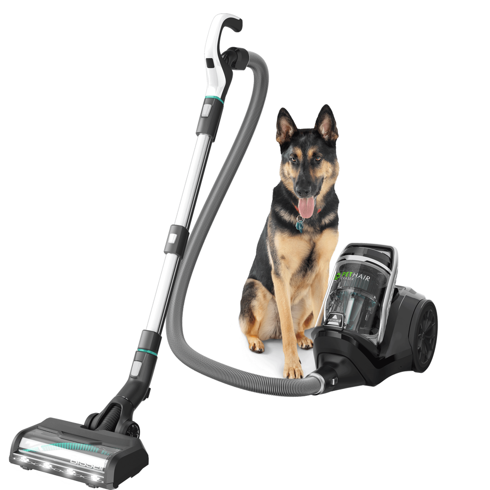 Enter The Money Pit's Flood Proof Pet Sweepstakes and win a $1,000 gift card for LL Flooring and more!