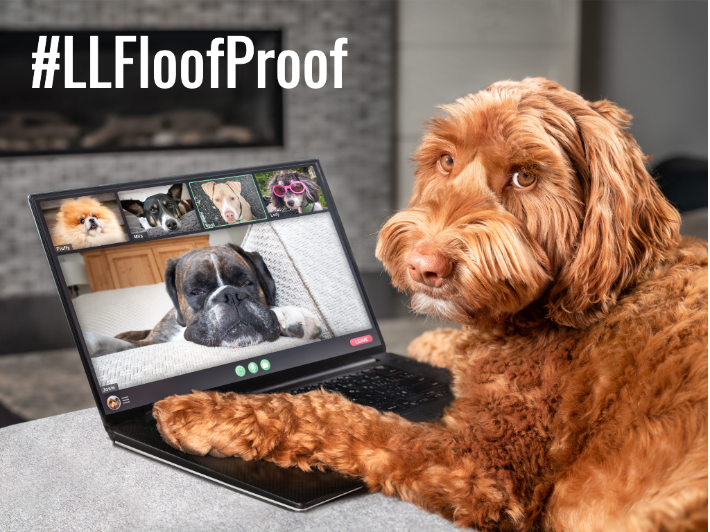Enter The Money Pit's Flood Proof Pet Sweepstakes and win a $1,000 gift card for LL Flooring and more!