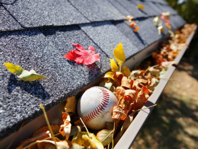 Gutter full of autumn leaves with a baseball