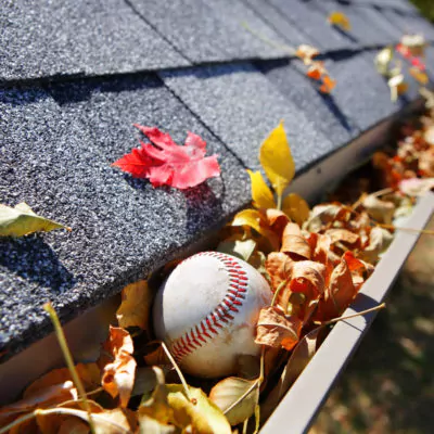 Gutter full of autumn leaves with a baseball
