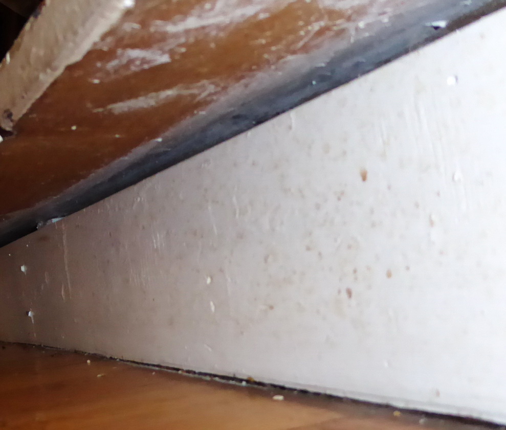 Mold on kick plate under kitchen cabinet