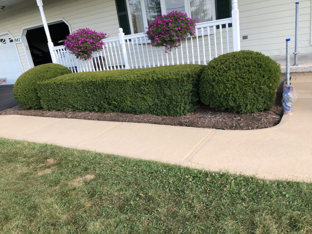 Sidewalk restored by RollerRock. Source: Daich Coatings